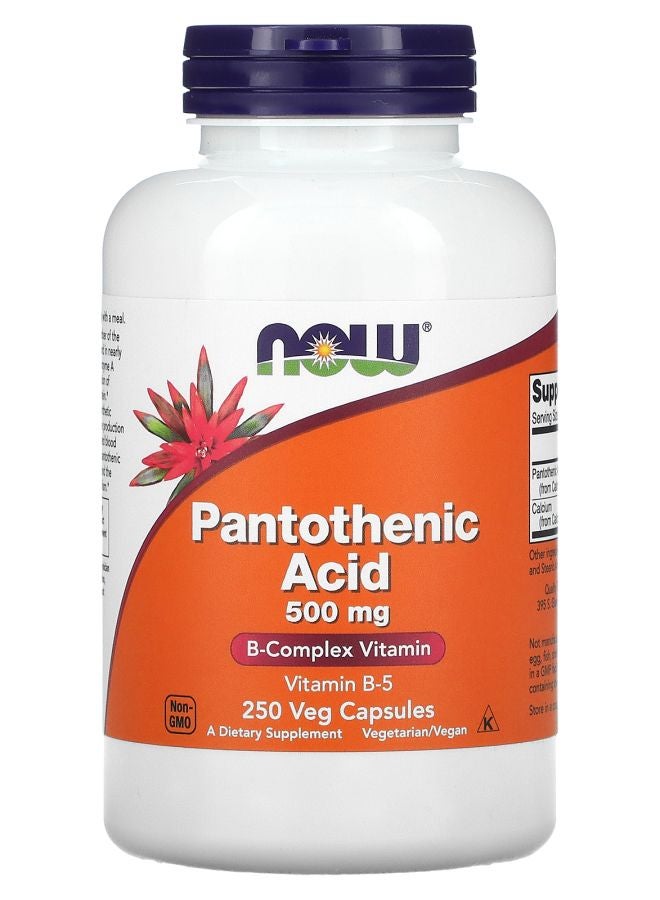 now Pantothenic Acid 500 mg 250 Veg Capsules
