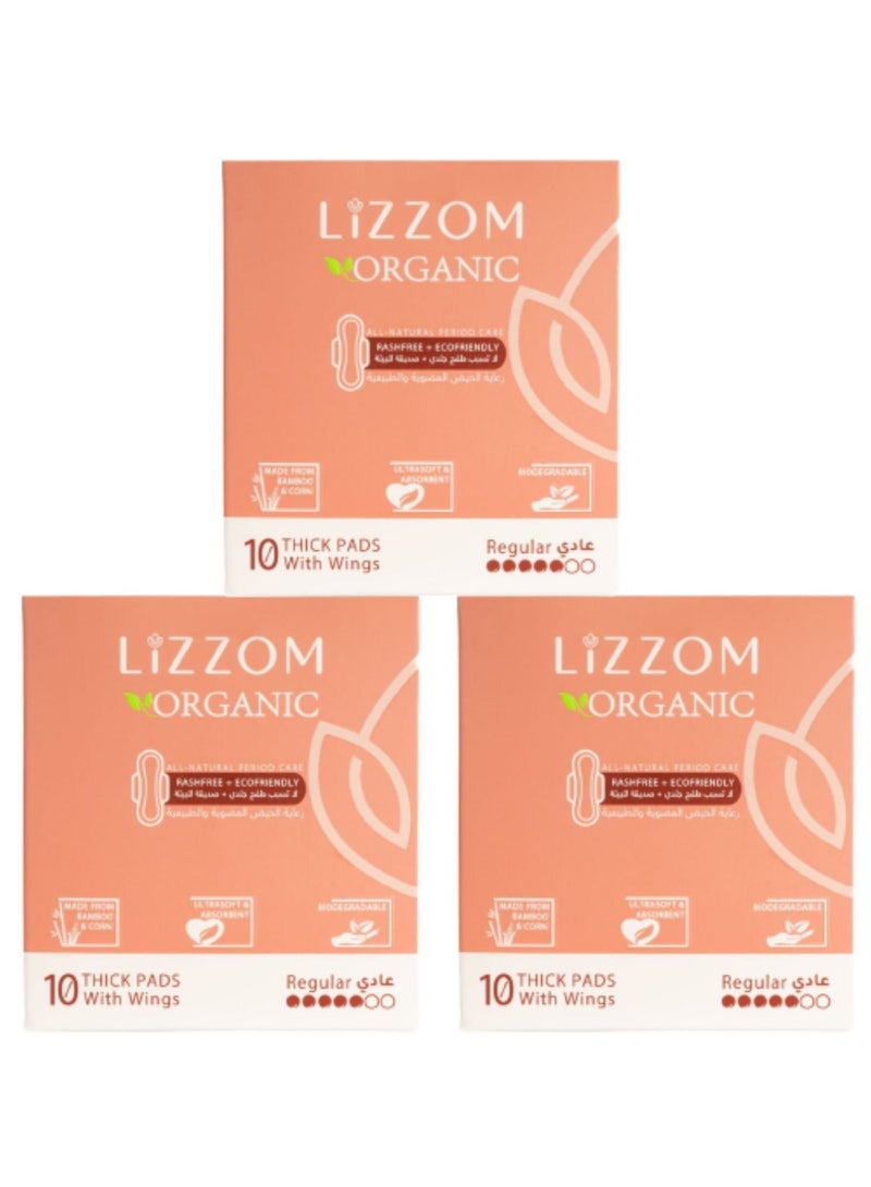 LiZZOM Ultra thin (Pack of 3) Regular Pads with wings (30 pc)  Dry feel | Plastic free | Antibacterial | Odor & Rash free. - Image 1