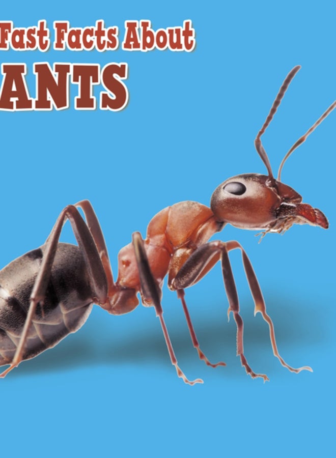 Fast Facts About Ants