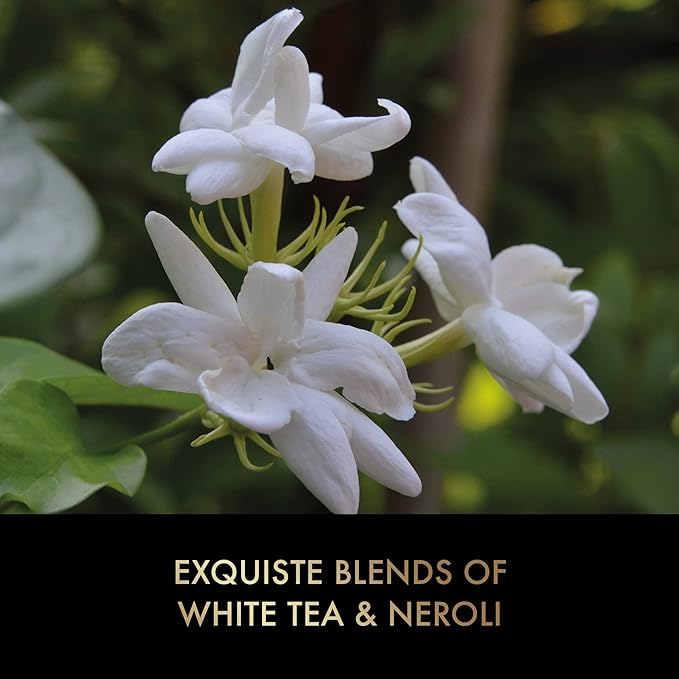 Baylis & Harding غسول يدين بايليس هاردينغ إليمنتس شاي أبيض نيرولي 500 مل عبوة من 3 صديقة للنباتيين - Image 5