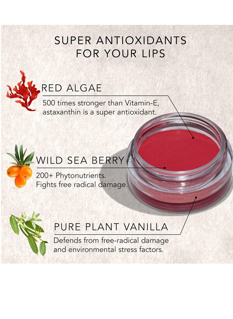 DAUGHTER EARTH Daughter Earth Vegan Lip and Cheek Tint Matte Natural Blush 4.5g  - Image 2