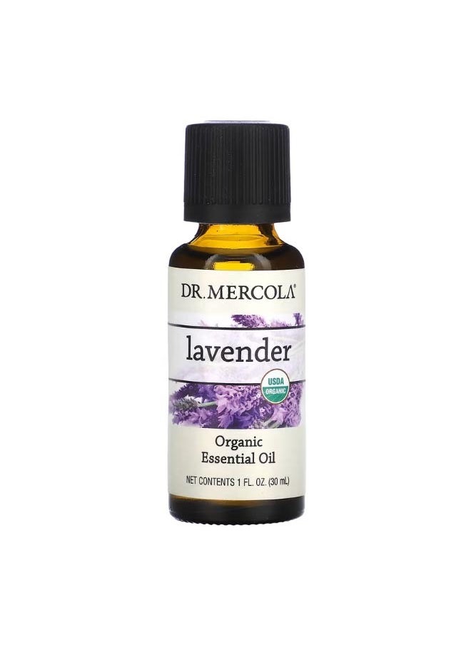 Dr. Mercola Organic Essential Oil Lavender 1 fl oz 30 ml  - Image 1