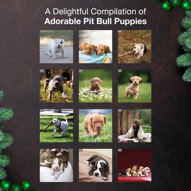 MICASA PRESS Pit Bull Puppies 2026 Wall Calendar 12 Month | 12" x 24" Open | Thick & Sturdy Paper | Holiday Gift | Cute Puppy Dog Calendar 2026 - Image 3