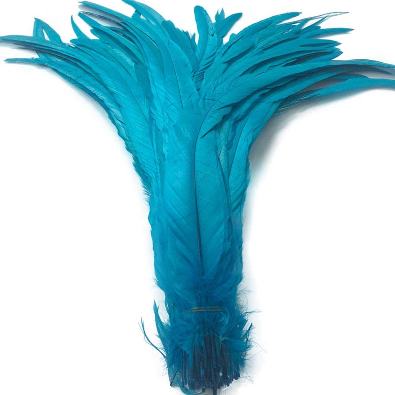 Shekyeon 1618inch 4045cm Rooster Coque Tail Feather for Costume Decoration Pack of 20 Turquoise