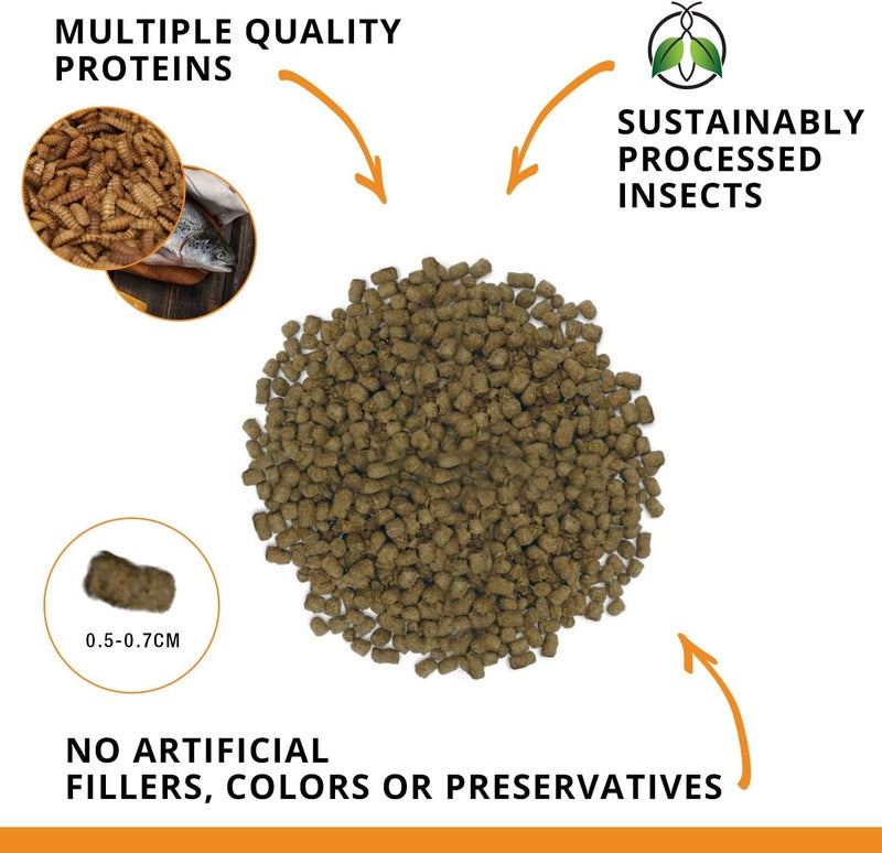 Fluval Bug Bites Goldfish Fish Food, Pellets for Medium to Large Sized Fish, 3.53 oz, A6584 (Pack of 2) - Image 2