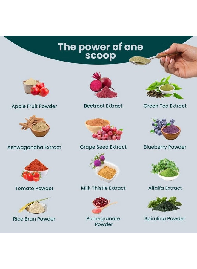 Rooted Active's Super Green Powder for Men and Women | Daily Supplement with 22 Greens & Fruits, 1 Billion Probiotics, 5 Enzymes, 5 Mushrooms | Supports Gut Health, Energy, Immunity (250 Grams) - Image 5