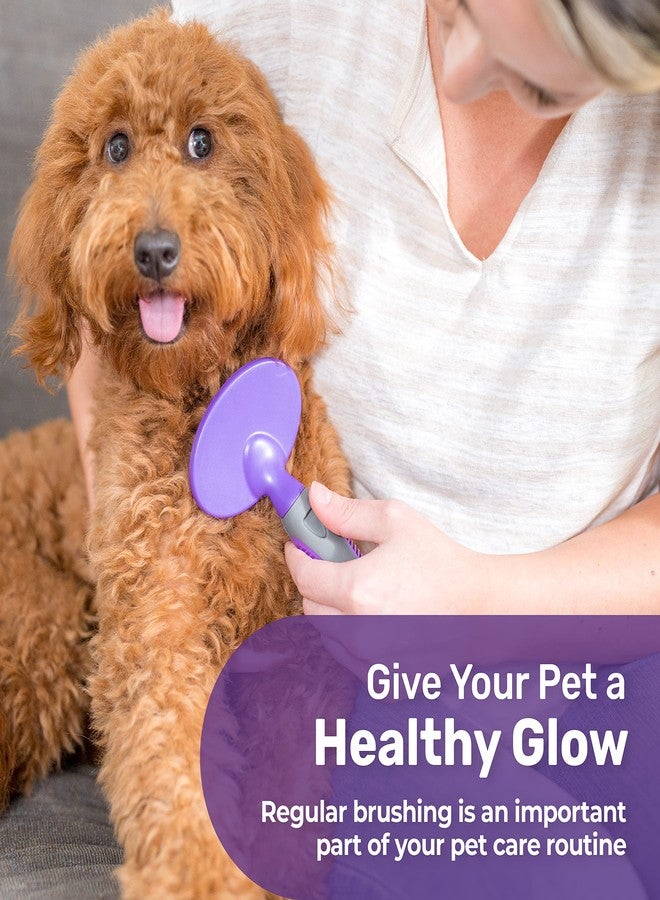 Hertzko Dog Brush - Soft Pin Bristle Pet Brush for Dogs and Cats - Remove Fur, Loose Hair - Comb for Grooming - Dog Brush for Long Haired Dogs and Short Haired Dogs, Cats, Rabbits - Deshedding Tool - Image 2