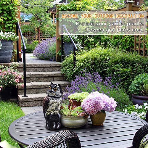 Hedoc Fake Owl Decoys to Scare Birds Away, Rotating Head Sculptures, Nature Enemy Scarecrow Plastic Statues, Pest Repellent, Bird Control and Pigeon Deterrent Outdoor Yard, Garden Protectors - Image 4