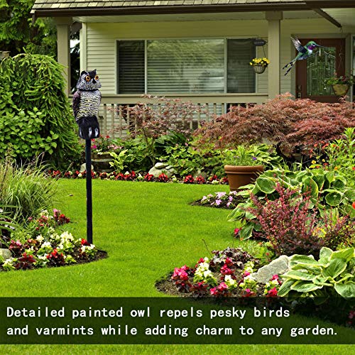 Hedoc Fake Owl Decoys to Scare Birds Away, Rotating Head Sculptures, Nature Enemy Scarecrow Plastic Statues, Pest Repellent, Bird Control and Pigeon Deterrent Outdoor Yard, Garden Protectors - Image 3