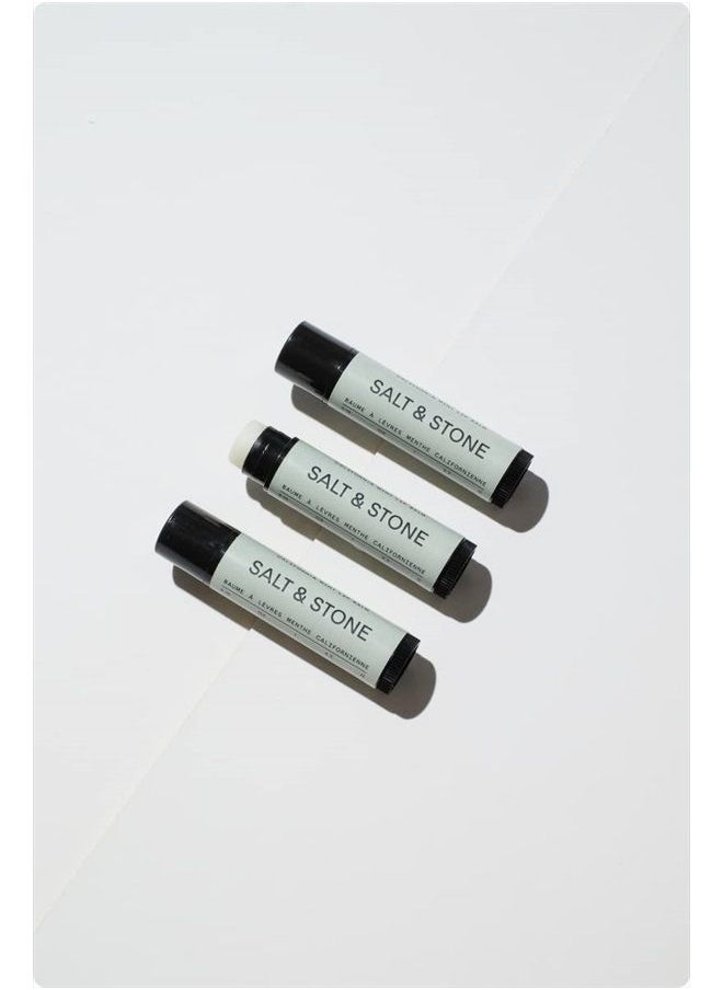 Salt & Stone - SALT & STONE California Mint Lip Balm (1 Pack) | Natural, Moisturizing, Hydrating Long Lasting Lip Balm | Restores Dry Cracked Lips | Cruelty-Free, Gluten-Free | Made in USA - Image 1