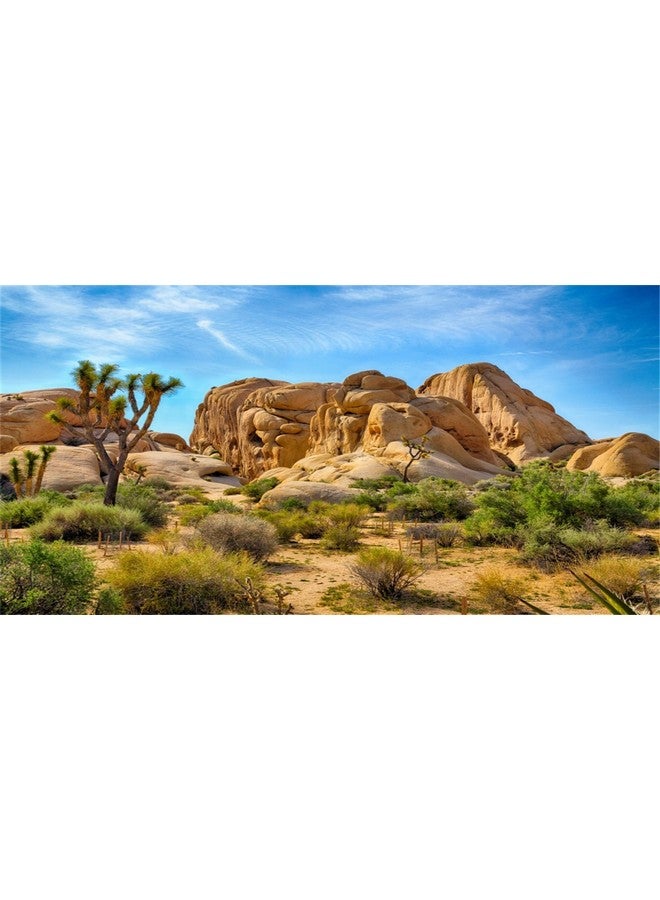 CSFOTO Polyester 30X12 Inches Joshua Tree National Park Backdrop Arid Barren Cactus Sandstone Rock Climate Mountain and Desert Scenery Backdrop Desert Terrarium Background - Image 1