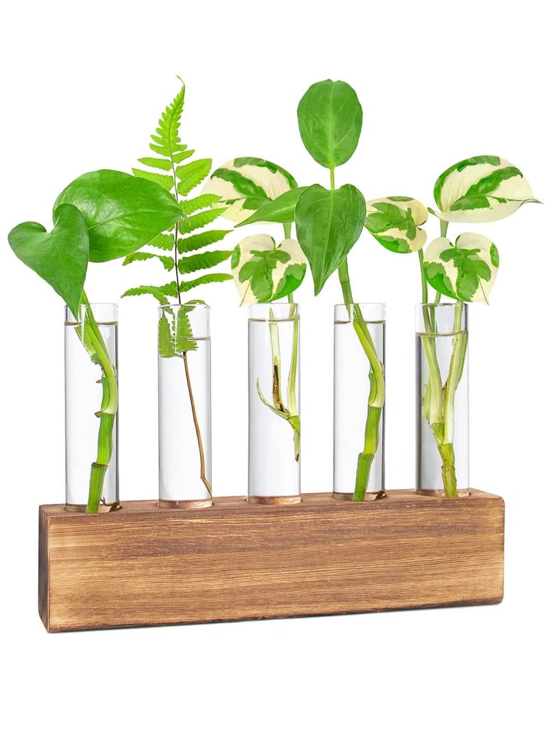 SYOSI Desktop Glass Plant Propagation Station 5 Test Tube Plant Terrarium in Wooden Stand for Hydroponic Plants Cutting Office Home Decoration - Image 1
