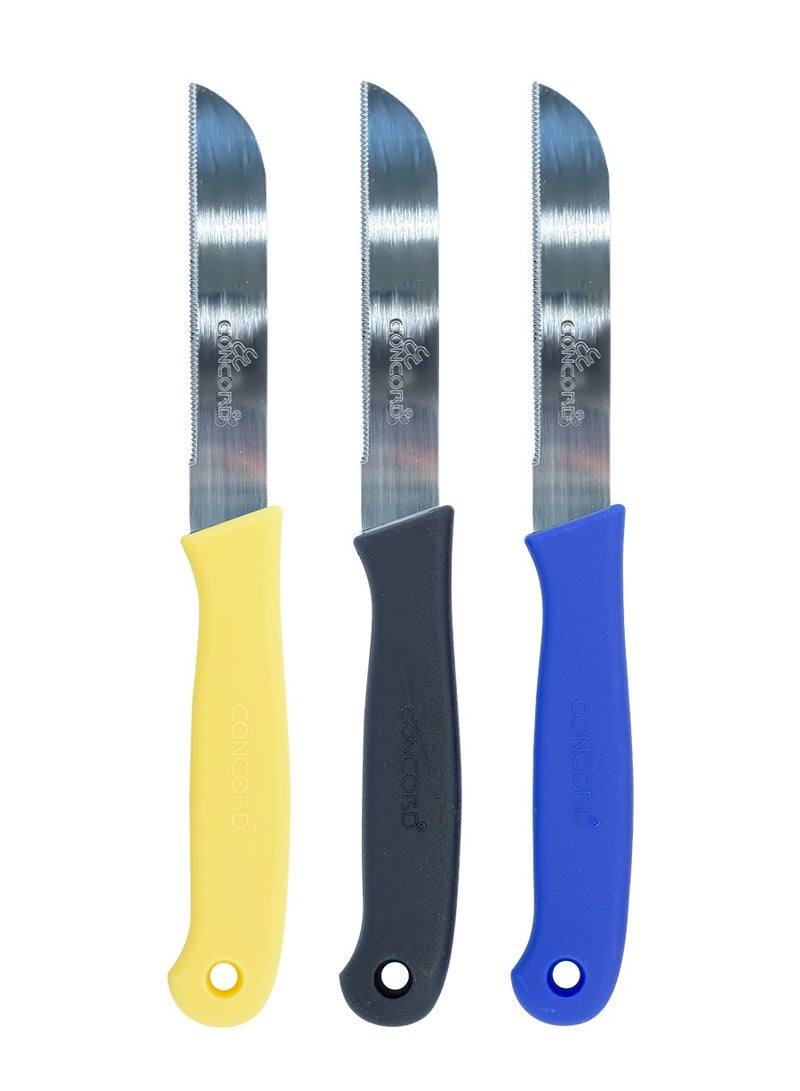 CONCORD 3 Piece Kitchen Knife Set, Stainless Steel Blade, Comfortable Grip Handle, Non Slip & Light Weight Kitchen Knives for Daily Use, Multicolor - Image 1