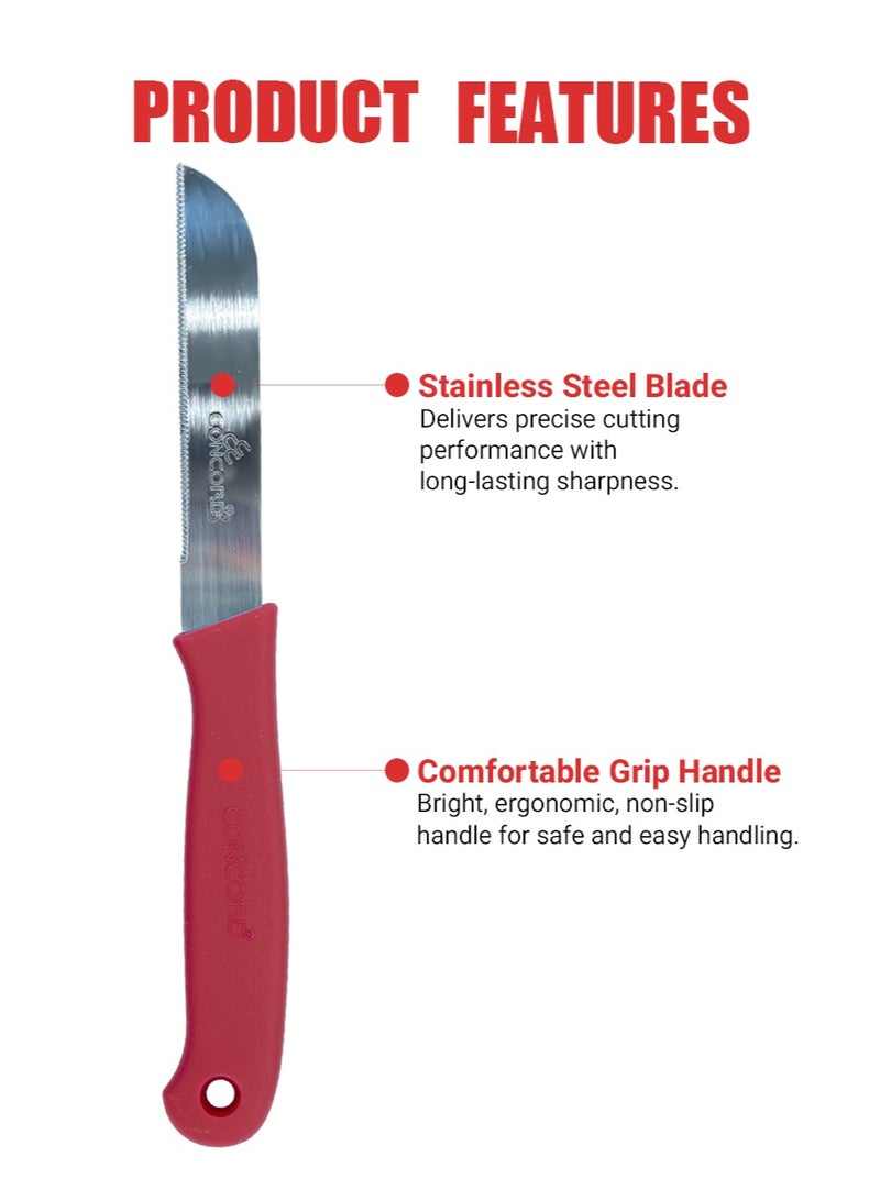 CONCORD 3 Piece Kitchen Knife Set, Stainless Steel Blade, Comfortable Grip Handle, Non Slip & Light Weight Kitchen Knives for Daily Use, Multicolor - Image 5