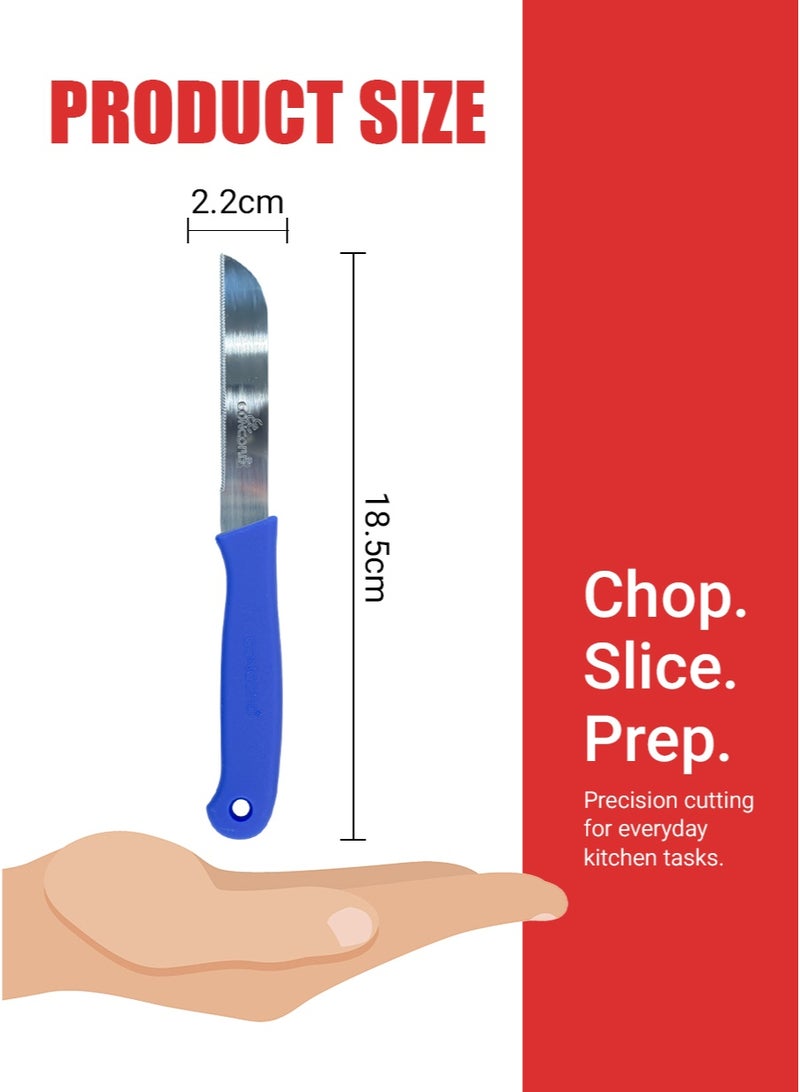 CONCORD 3 Piece Kitchen Knife Set, Stainless Steel Blade, Comfortable Grip Handle, Non Slip & Light Weight Kitchen Knives for Daily Use, Multicolor - Image 4