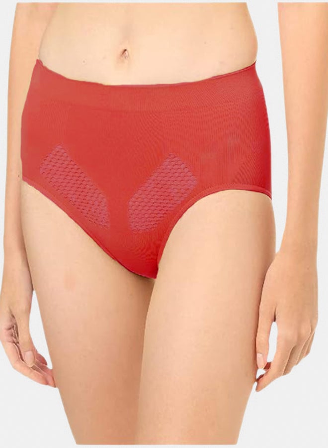 Silvy Lycra Net Panty Underwear For Women - Image 1