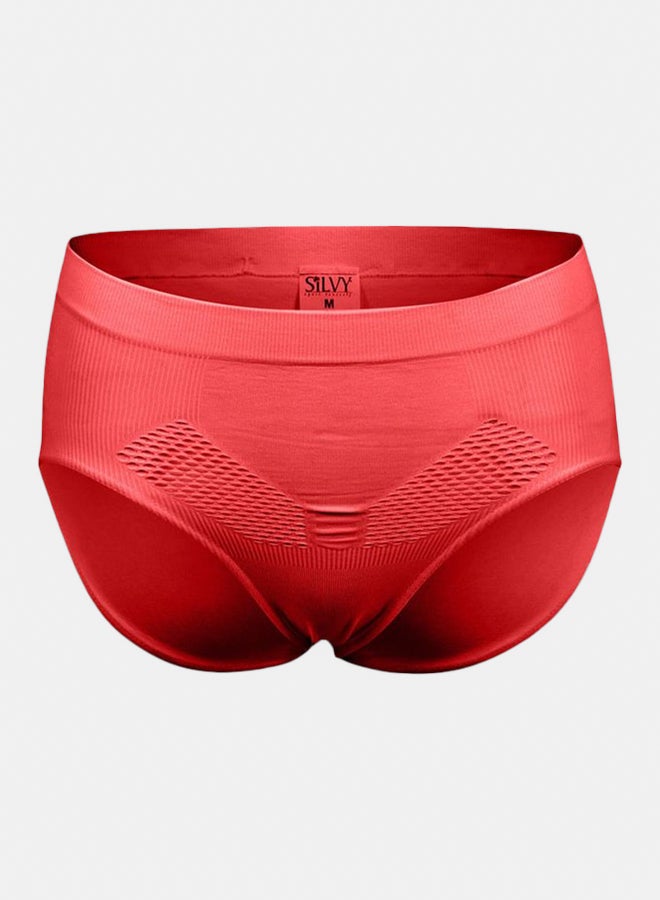 Silvy Lycra Net Panty Underwear For Women - Image 3