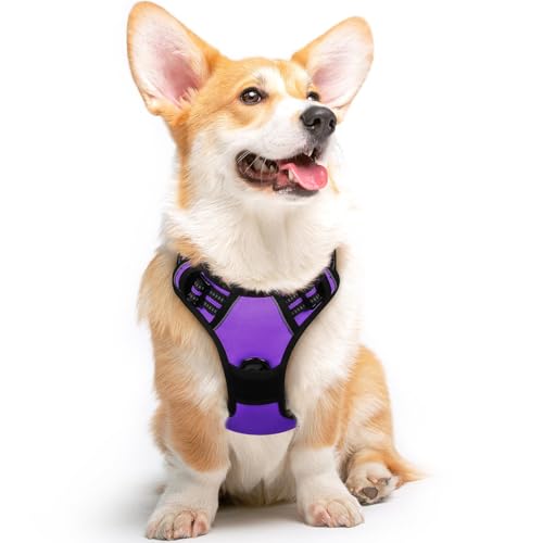 Eagloo Dog Harness Medium Sized Dog, No Pull Service Vest with Reflective Strips and Control Handle, Adjustable and Comfortable for Walking, No Choke Pet Harness with 2 Metal Rings, Purple, M - Image 1