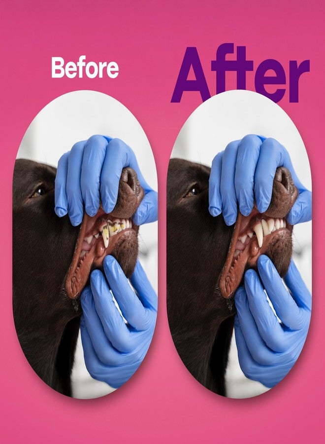 DOCO Dog Teeth Cleaning Wipes Dental Finger Wipes for Cats & Dogs Remove Plaque & Tartar, Freshen Breath, No Rinse, Easy & Effective Pet Tooth Cleaning Kit for Oral Care (Bacon Flavor, 50 Count) - Image 5