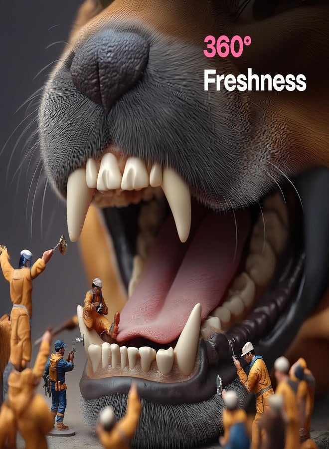 DOCO Dog Teeth Cleaning Wipes Dental Finger Wipes for Cats & Dogs Remove Plaque & Tartar, Freshen Breath, No Rinse, Easy & Effective Pet Tooth Cleaning Kit for Oral Care (Bacon Flavor, 50 Count) - Image 4