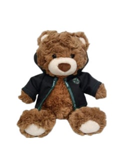 Miniso Harry Potter 10in. School Gift Bear Plush Toy(Slytherin) 