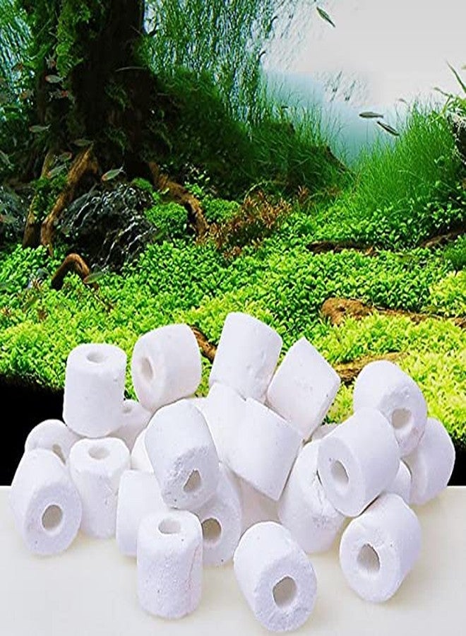 VAYINATO Petzlifeworld Ceramic Ring Aquarium Filter Media(5Kg) - Image 2