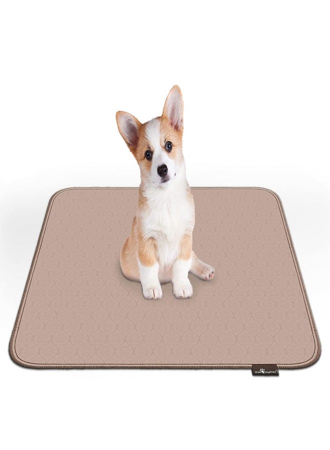 Paw Inspired Washable Pee Pads for Dogs (2 Pack), Leakproof, Non-Slip Reusable Puppy Pads for Potty Training, Whelping, Waterproof Mat (32x30 Inch, Pack of 2) - Image 5