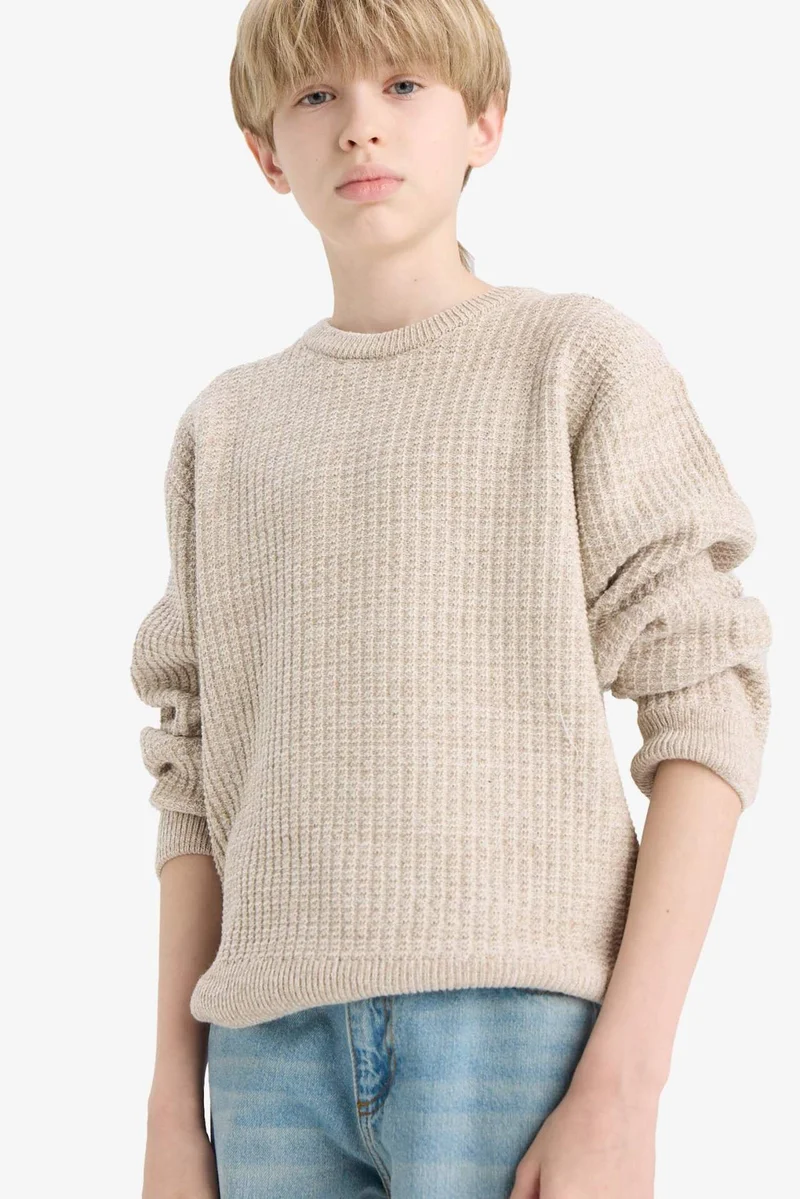 ديفاكتو Boy Regular Fit Crew Neck Pullover