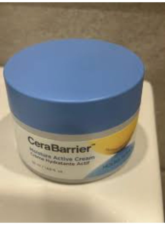 Holika Holika CeraBarrier Moisture Active Cream 50ml - Image 2