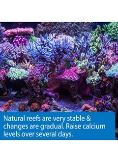 API Marine Calcium Reef Aquarium Calcium Solution 16Ounce Bottle  - Image 2