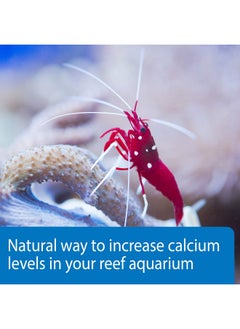 API Marine Calcium Reef Aquarium Calcium Solution 16Ounce Bottle  - Image 4