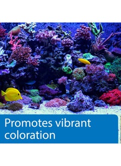 API Marine Calcium Reef Aquarium Calcium Solution 16Ounce Bottle  - Image 3
