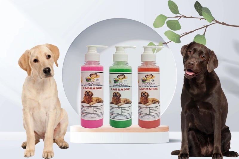 SWACCH Premium Shampoo for Labrador (200ML) (Combo Pack of 3) Rose, NEEM ALOVERA & Jasmine - Image 2