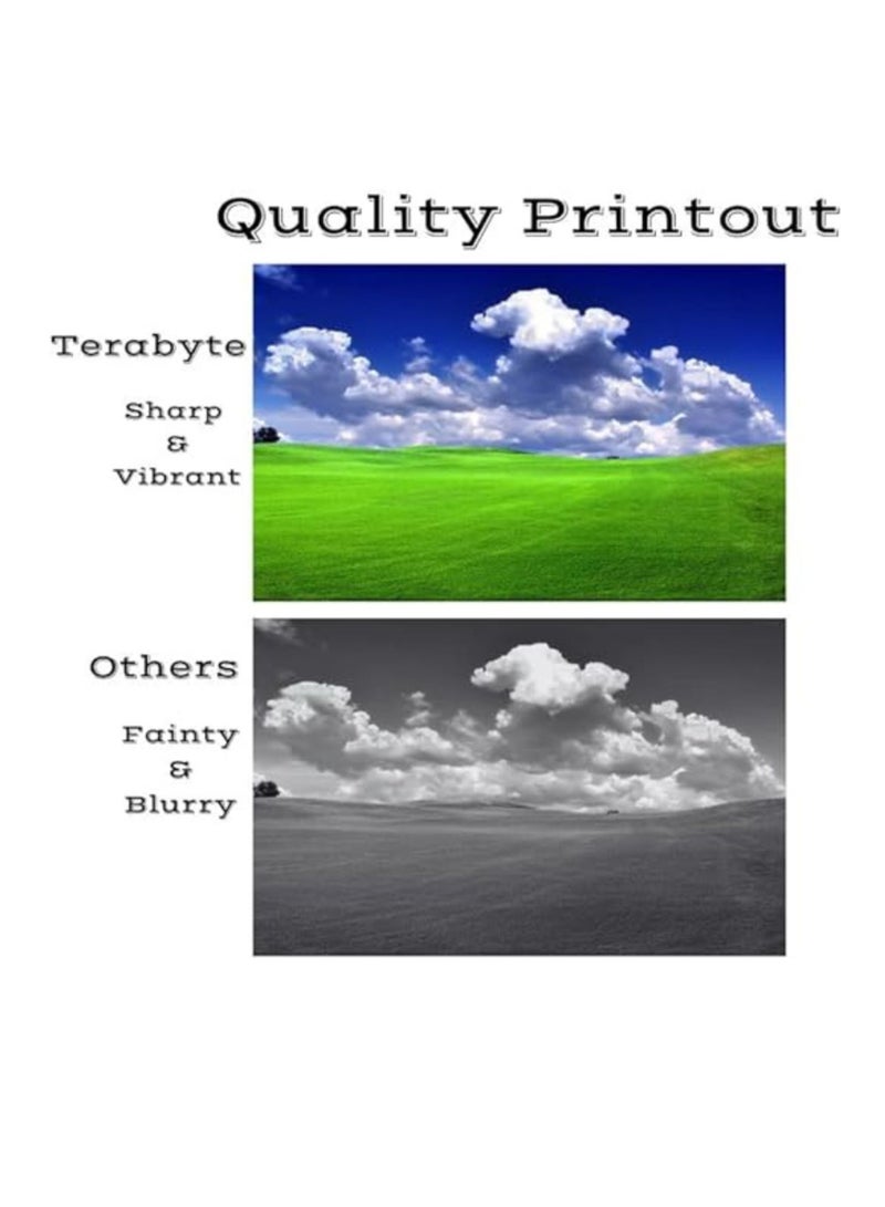 Terabyte 17A -CF217A Compatible Toner Cartridge for M102 M130 - Image 2