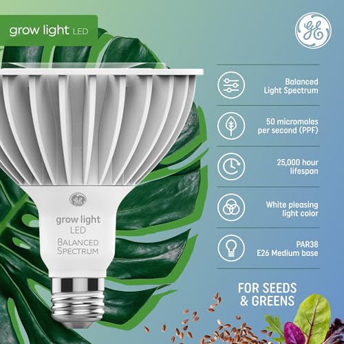 GE Grow LED Light Bulb, PAR38 Flood Light, Indoor LED Grow Lights for Plants, Seeds and Greens, Balanced Light Spectrum, 25,000 Hours Lifespan, 50 PPF, 1 Pack (Packaging May Vary) - Image 2