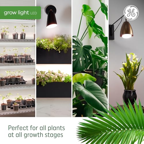 GE Grow LED Light Bulb, PAR38 Flood Light, Indoor LED Grow Lights for Plants, Seeds and Greens, Balanced Light Spectrum, 25,000 Hours Lifespan, 50 PPF, 1 Pack (Packaging May Vary) - Image 5