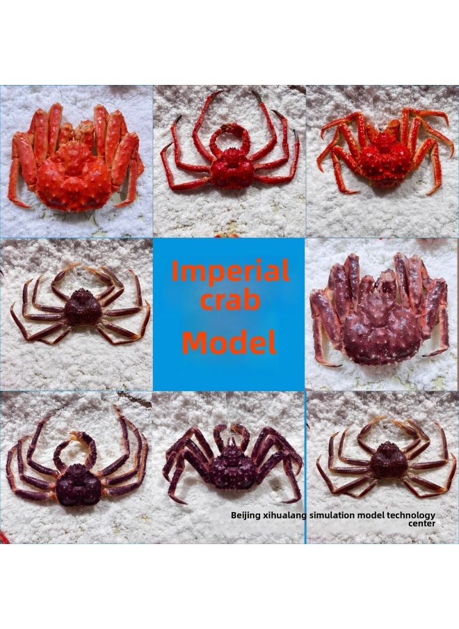 Generic - Simulation King Crab Model Seafood Ice Table Decorative Ornaments Live Shooting Props Seafood Sales Display-Color:The Little Emperor Crab Model With Open Legs - Image 1