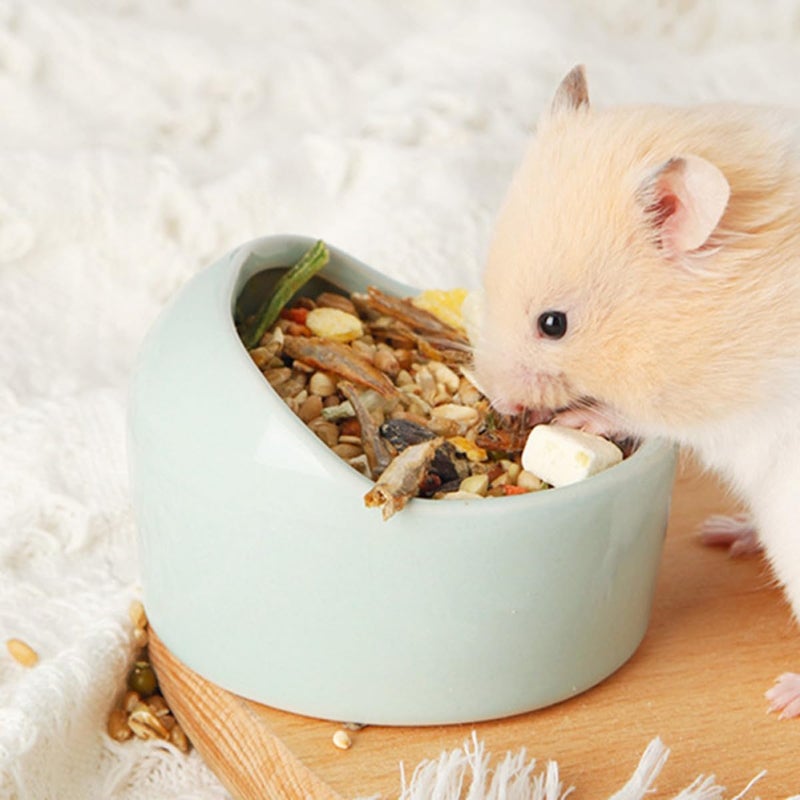 BESTonZON 5pcs Ceramic Hamster Feeding Bowls -bite -tip Small Animal Food and Water Dish Random Colors Pet Ceramic Bowls for Hamsters - Image 5