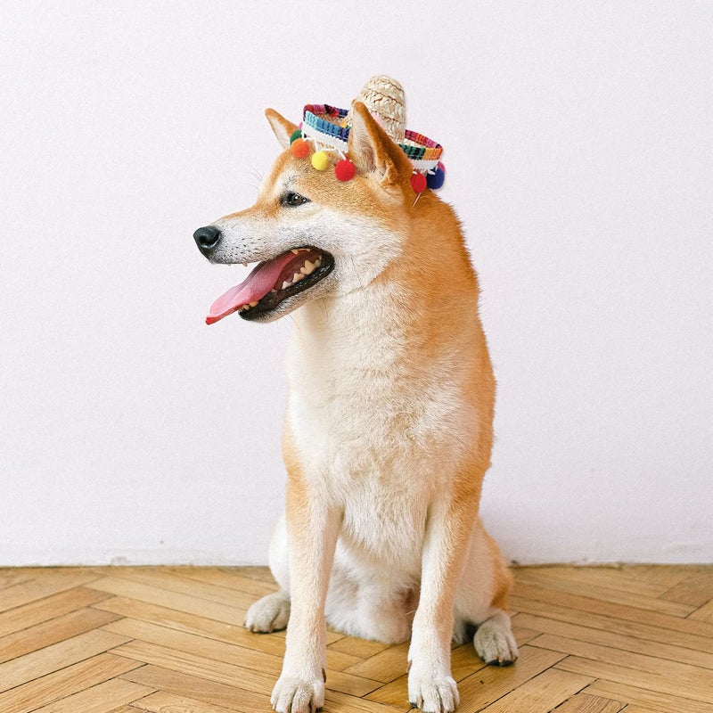 Crazy Night Mini Sombrero Top Hat Headband Tiny Straw Hat Small Sombreros for Dog Cat,Mexican Fiesta Birthday Party Supplies Table Decoration - Image 5
