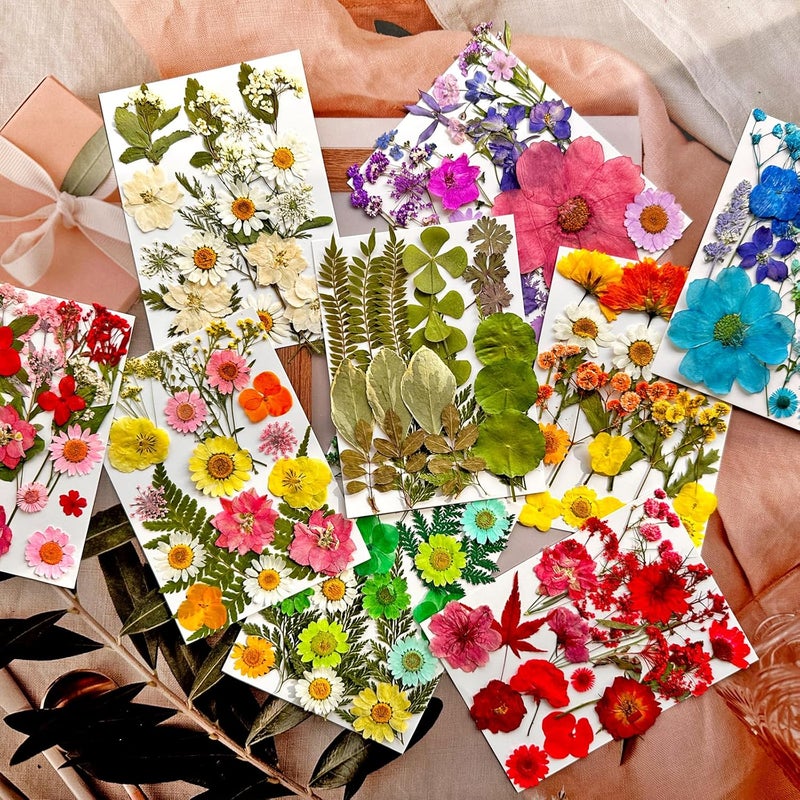 MIKIYA 182Pcs Dried Pressed Flowers for Resin Molds, Assorted Real Natural Bulk Dry Floral Leaves for DIY Art Crafts, Epoxy Jewelry, Candle, Soap Making, Nails Decors Gifts - Image 3