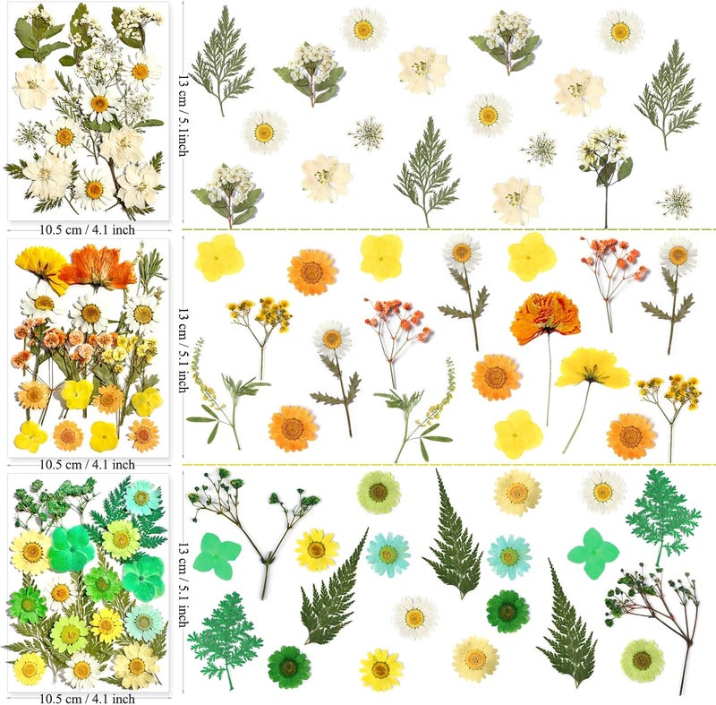 MIKIYA 182Pcs Dried Pressed Flowers for Resin Molds, Assorted Real Natural Bulk Dry Floral Leaves for DIY Art Crafts, Epoxy Jewelry, Candle, Soap Making, Nails Decors Gifts - Image 5