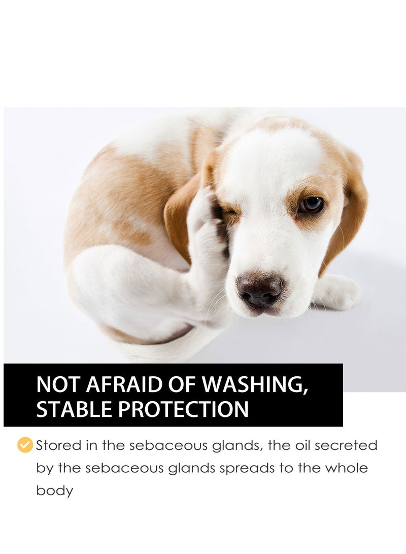 ييبونغ قطرات طارد الحشرات الخارجية للحيوانات الأليفة للوقاية من مرض الدودة القلبية للكلاب - Image 3