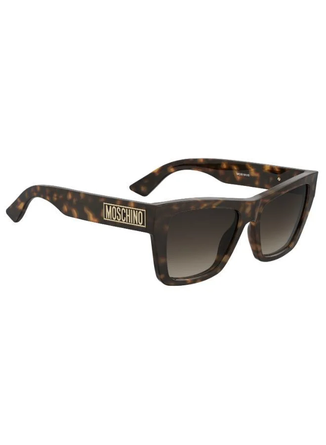 MOSCHINO Wayfarers Sunglasses