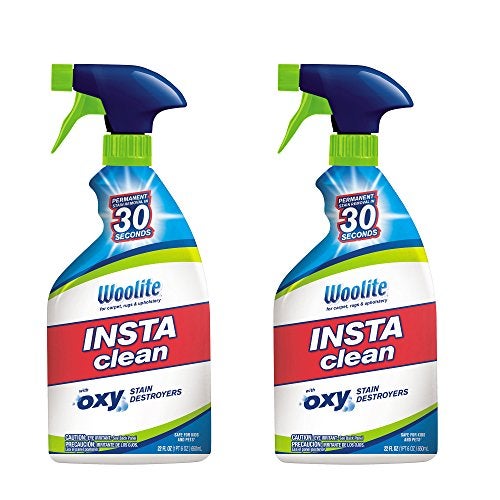 Woolite InstaClean Permanent Stain Remover, 2 Pack, 21799 - Image 1