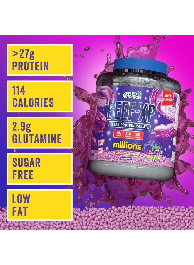 أبلايد نيوتريشن بروتين لحم بقري معزول شفاف من BEEF-XP، بنكهة الكشمش الأسود، 60 حصة، تركيبة بروتين متحلل خالية من الدهون والسكر - Image 3