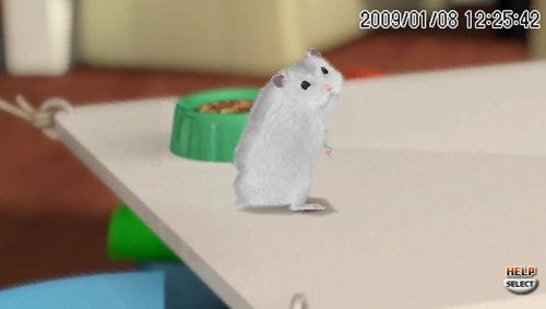 Ubisoft Petz Hamsterz Bunch - Sony PSP - Image 2