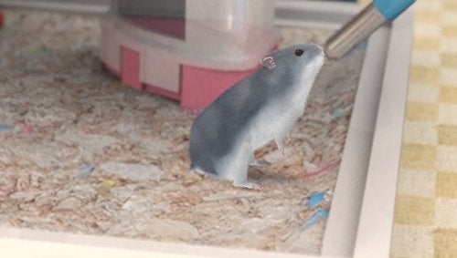 Ubisoft Petz Hamsterz Bunch - Sony PSP - Image 4