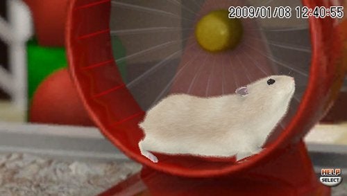 Ubisoft Petz Hamsterz Bunch - Sony PSP - Image 3
