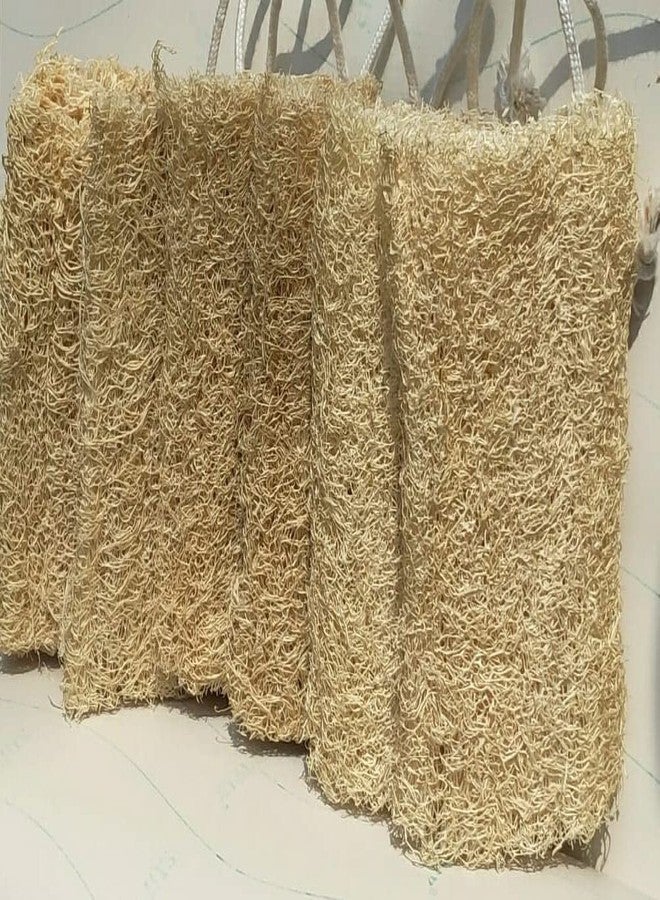 Natural Organic Loofah - Best Exfoliator, Body Scrubber ,Loofah for everyone in Family, Best Gift for Family and Friends Pack of 6 - Image 1
