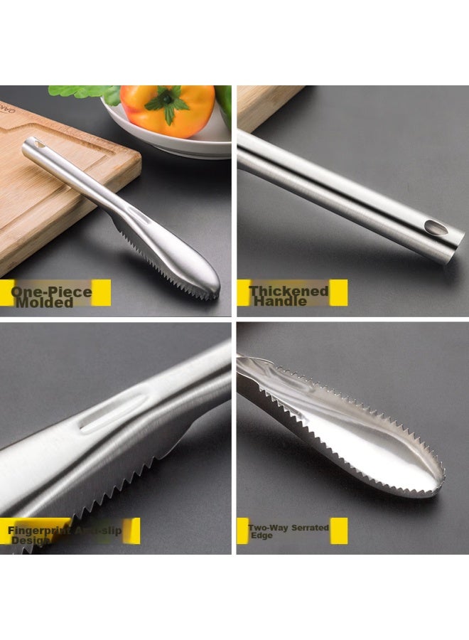 Oak Oak Stainless Steel Fish Scale Remover, Fish Scale Scraper, Fish Scale Knife, Fish Scale Brush, Fish Scale Removal Tool, C052  - Image 3